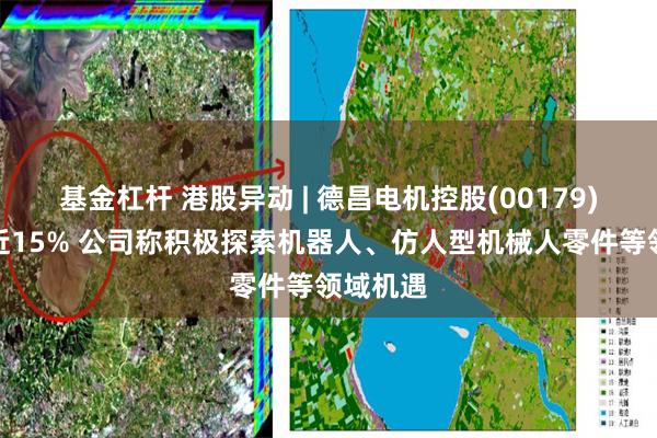 基金杠杆 港股异动 | 德昌电机控股(00179)午后涨近15% 公司称积极探索机器人、仿人型机械人零件等领域机遇