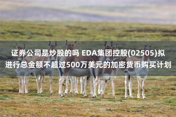 证券公司是炒股的吗 EDA集团控股(02505)拟进行总金额不超过500万美元的加密货币购买计划
