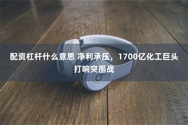 配资杠杆什么意思 净利承压，1700亿化工巨头打响突围战