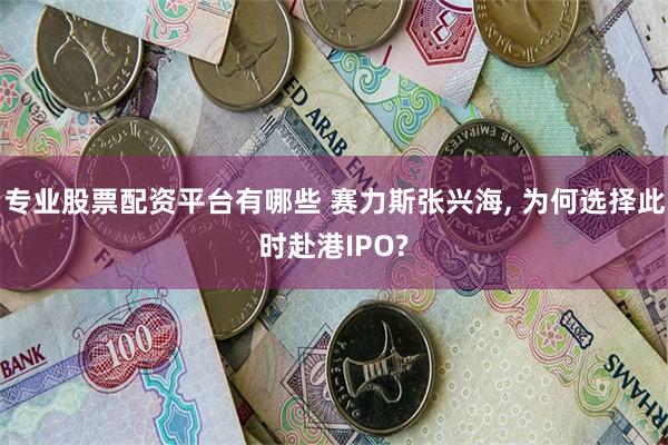 专业股票配资平台有哪些 赛力斯张兴海, 为何选择此时赴港IPO?