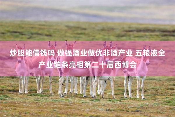 炒股能借钱吗 做强酒业做优非酒产业 五粮液全产业链条亮相第二十届西博会