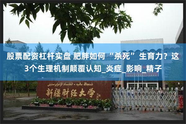 股票配资杠杆实盘 肥胖如何 “杀死” 生育力？这3个生理机制颠覆认知_炎症_影响_精子