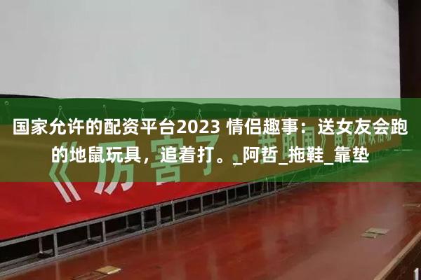 国家允许的配资平台2023 情侣趣事：送女友会跑的地鼠玩具，追着打。_阿哲_拖鞋_靠垫