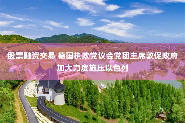 股票融资交易 德国执政党议会党团主席敦促政府加大力度施压以色列